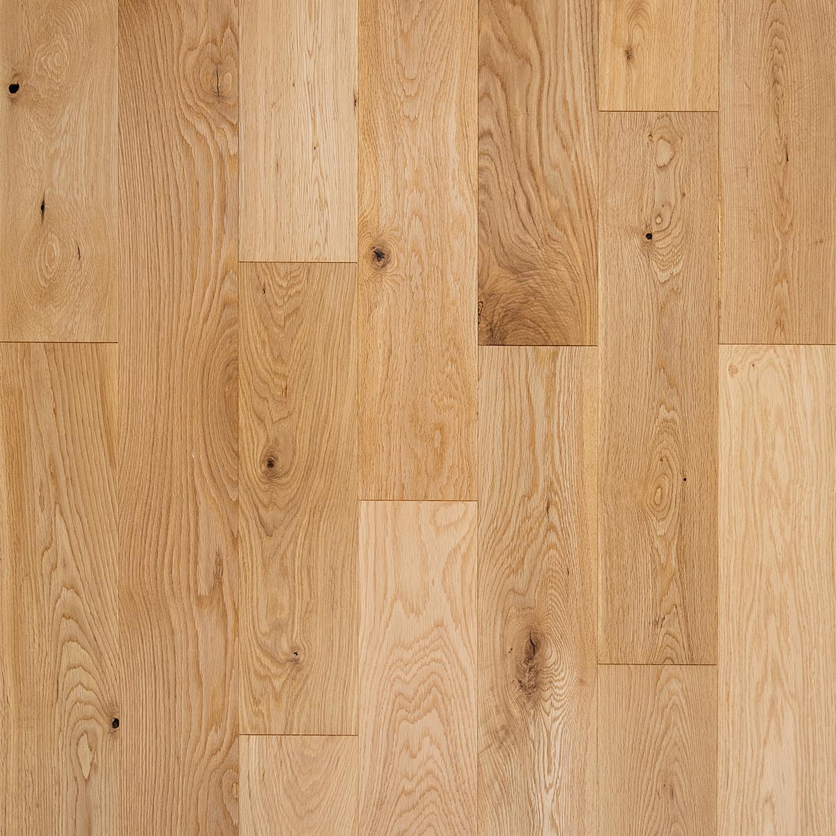 EP101 Forest Oak (Price Per Pack) - Wiltshire Wood Flooring Supplies
