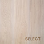 Blanc - Image 5