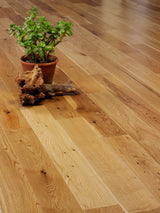 Alpine Sunlit oak with a plant pot 