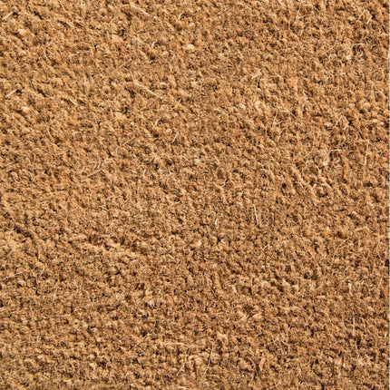 Coir mat surface texture 