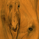 Morrells Light Fast Wood Stain - Wiltshire Wood Flooring Supplies